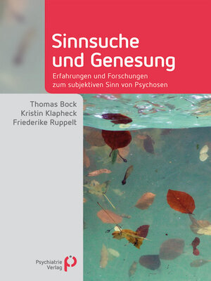 cover image of Sinnsuche und Genesung
